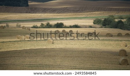 Similar – Image, Stock Photo Late summer rolls Field