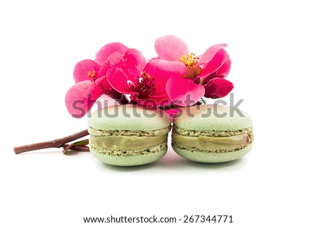 Two green macaron with pink spring flowers