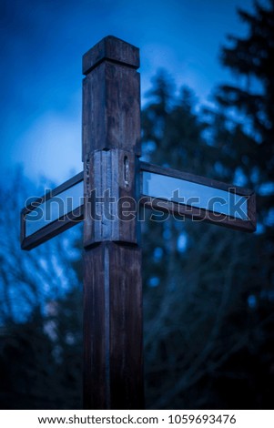 Similar – Image, Stock Photo Wet chaos Mysterious Grass