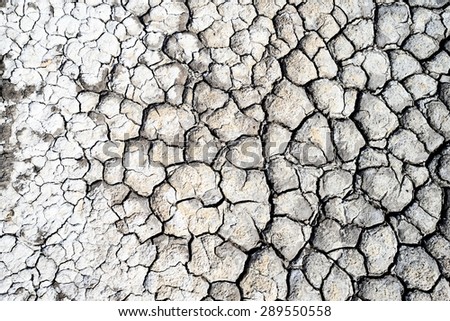 Cracked dry earth texture background / Cracked dry earth