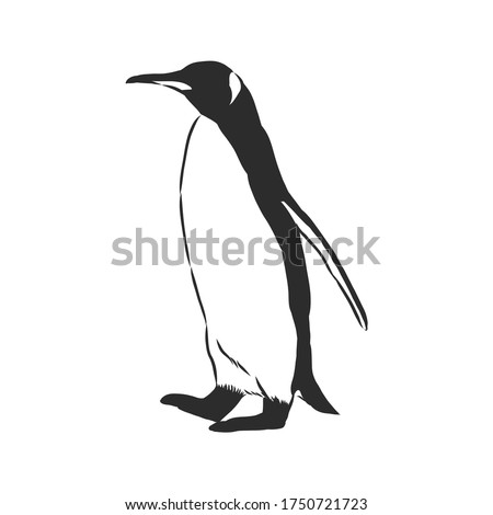 Penguin Drawing Outline | Free download on ClipArtMag