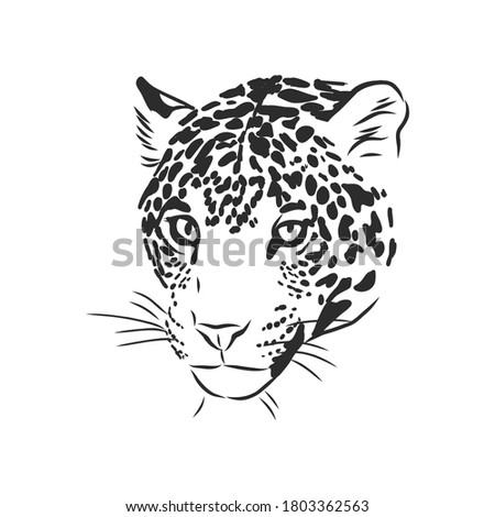 Jaguar Clipart Black And White | Free download on ClipArtMag