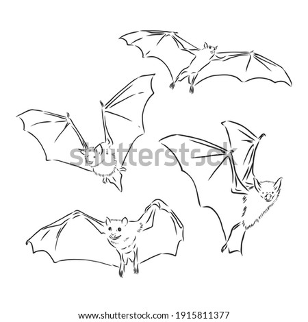 Bat Drawing | Free download on ClipArtMag