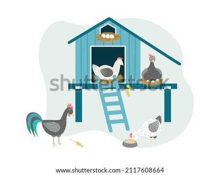 Chicken coop vector illustration. Characters of cute chickens that hatch eggs, a rooster in a chicken coop. Breeding birds on farms