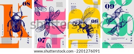 Beetle, dragonfly, bee, grasshopper. Set of vector posters with insects. Engraving illustrations and typography. Background images for cover, banner, poster. T-shirt print.