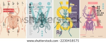 Insects. Beetle, fly, ant, stag beetle. Poster design. Set of vector illustrations. Typography. Vintage pencil sketch. Engraving style. Labels, cover, t-shirt print, painting.