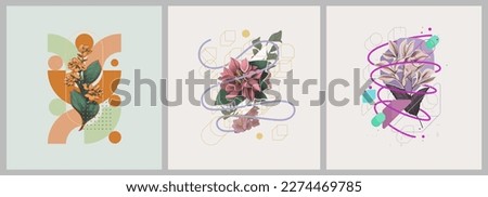 Abstract minimalist Art. Mixed style, geometric shapes and plants. Flowers, leaves. Set of vector paintings. Bauhaus. Backgrounds for poster, banner, print. 