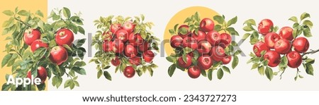 Apples in leaves. A set of vector illustrations. Vectorized gouache illustrations. Collection of isolates for labels, prints, banners.
