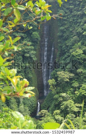 Papapai-uta Waterfall – View one of Upolu’s highest waterfalls, at 180m, from the roadside lookout on the Cross Island Road. Stock fotó © 