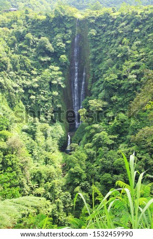 Papapai-uta Waterfall – View one of Upolu’s highest waterfalls, at 180m, from the roadside lookout on the Cross Island Road. Stock fotó © 