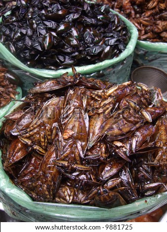 Fried cockroaches street food of Cambodia