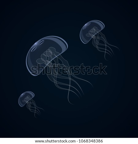 Vector illustration of jellyfish, aurelia aurite, also called common jellyfish, moon jellyfish, jelly moon or jelly saucer on a dark background