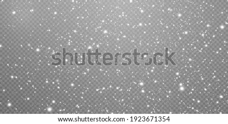 Abstract winter background from snowflakes blown by the wind on a white checkered background. White dust light png.