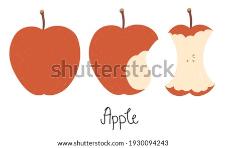 Illustration of an apple, bitten apple, apple core, and hand-drawn text - Apple. Cute flat vector illustration in nice colors. Isolated on white. Stock foto © 