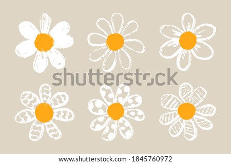 Similar – Image, Stock Photo daisies Marguerite