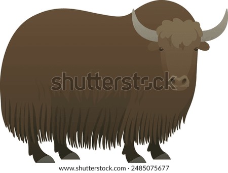 Yak with horns realistic vector illustration. Tartary or grunting wild ox standing side view color graphic. Hairy cattle isolated on white background. Domestic farm animal.