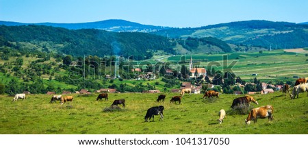 View of Crit village in Transylvania Photo stock © 