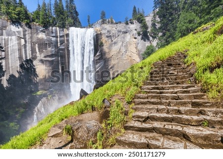 Similar – Image, Stock Photo Nature trail in a wetland area