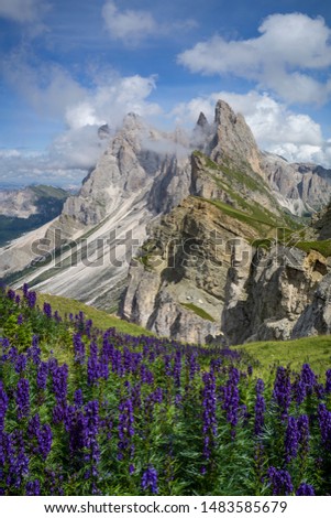 Similar – Image, Stock Photo Mountain panorama (Austria)