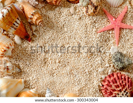Sea shells and star fish on the sea pebbles. Ã?Â�Ã?Â¡opyspace for text