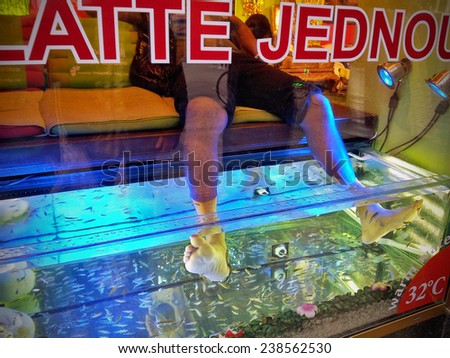 Prague, Czech Republic - September 28, 2014: Man places his feet in tank of warm freshwater containing dozens of toothless Garra rufa fish. Fishes suck and gently nibble away at dry and dead skin