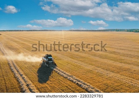 Similar – Image, Stock Photo Swaths of straw and conspicuous ruts on a mown field on a slope, in front of six different small deciduous trees, a road and a meadow / Summer