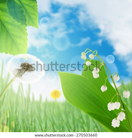 bouquet of may-lily . Spring nature background