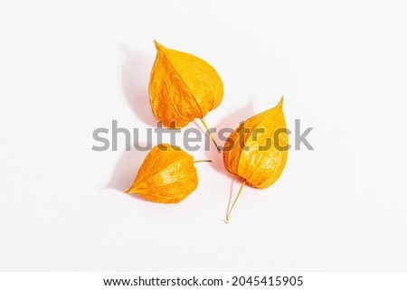 Similar – Foto Bild Physalis | Lampionblume | Herbstschätze | sammeln & dekorieren.