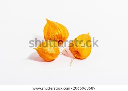 Similar – Foto Bild Physalis | Lampionblume | Herbstschätze | sammeln & dekorieren.