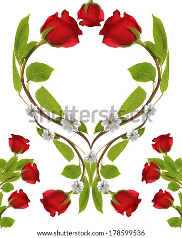 bouquet rose garden leaves on white background