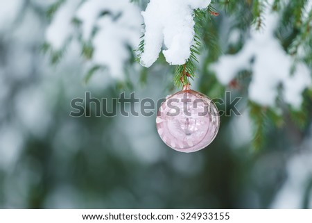Outdoor Christmas rose color sphere mirror bauble ornament design is hanging on snowy spruce twig