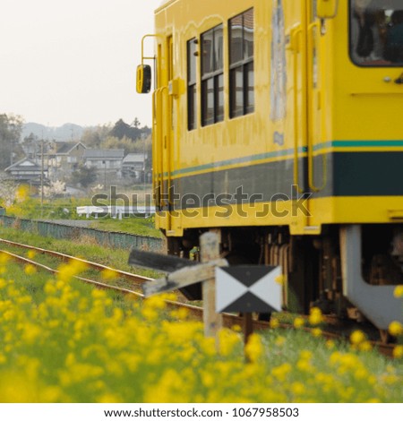 Similar – Image, Stock Photo Passenger train and rapeseed field. Spring landscape at sunrise