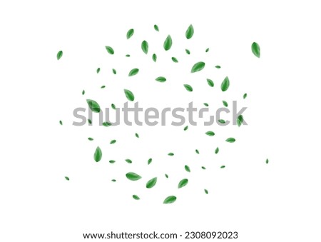 Green Leaf Background White Vector. Leaves Healthy Texture. Vivid Frame. Light Green Growing Design. Sheet Herbal.