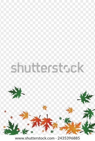 Golden Leaves Background Transparent Vector. Maple National Card. Gold Bright. Down Design. Ocher Plant October.