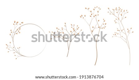 Limonium, wedding grass set stock vector illustration. Delicate elegant floral for an invitation. Cream color. Dry flowers in pastel colors isolated on a white background for invitation design.