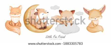 Little Fox Friend Animal Collection