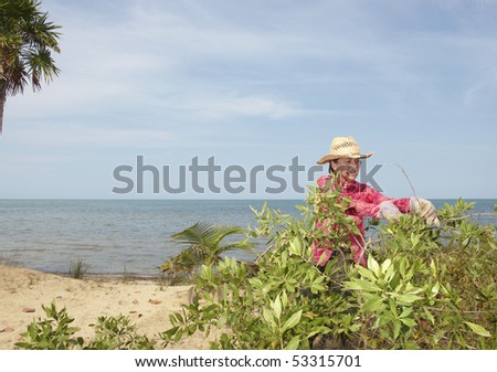 A woman trimming bushes on the beachfront