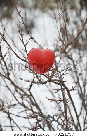 red heart resting amongst the stems of a leafless bush in winter