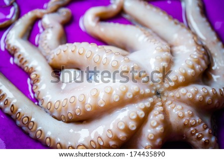 Octopus tentacles close up and purple background