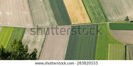 Freshly plowed and sowed farming land from above, neatly cultivated in non-urban agricultural area, textured effect and background. Food production industry, arable land concept.
