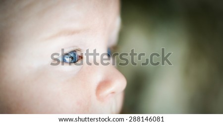 Close-up of a curious, well fed baby face with blue eyes observing the surroundings with great wonder and fascination. Natural childhood, outdoor lifestyle, family values concept.