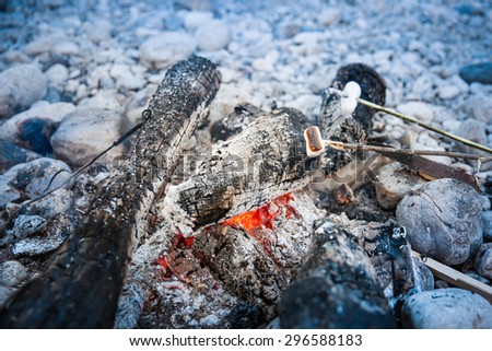 Marshmallows sticked on a twig, being toasted on a self-made campfire, family spending quality time on an adventurous camping trip. Active natural lifestyle, fun family time concept.