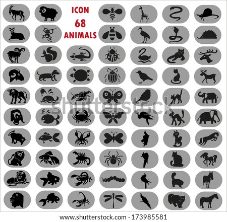 Image icons of different animals, insects, arthropods and birds.