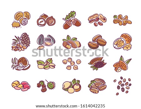 Nuts and seeds color line icons set. Nuts are the hard-shelled fruit of certain plants. Seeds are a small edible plant enclosed in a seed coat. Pictograms for web page, mobile app. Editable stroke.