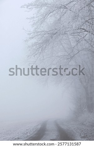 Similar – Foto Bild Wald in dichtem Nebel. Natur Landschaft Blick auf nebligen Wald im Herbst Saison