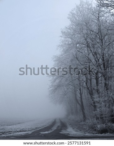 Similar – Foto Bild Wald in dichtem Nebel. Natur Landschaft Blick auf nebligen Wald im Herbst Saison