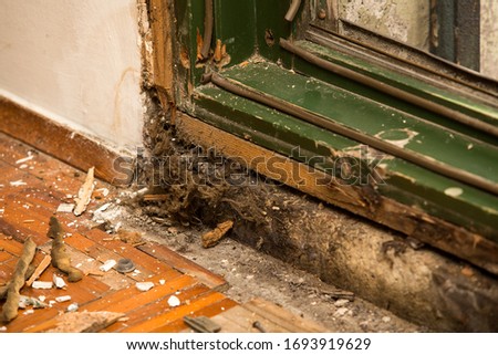 Similar – Image, Stock Photo Renovated old buildings with beautiful facade of light sandstone on the banks of the river Main in Frankfurt am Main in Hesse