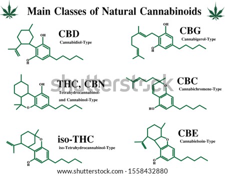 Main classes of natural cannabis skeleton chemist structure of CBD, THC, CBN, iso-THC, CBG, CBE, CBC ,
Cannabigerol, Cannabichromene, Cannabidiol, Tetrahydrocannabinol, Cannabinol, Cannabielsoin