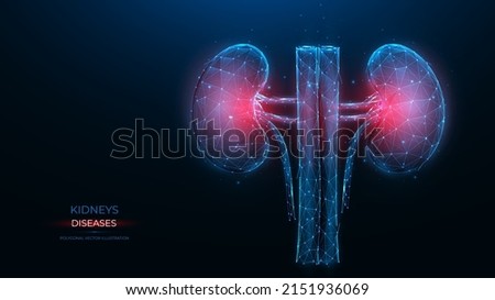 Polygonal vector illustration of an inflamed human kidney on a dark blue background. Diseases of the organs of the excretory system concept. Urological or nephrological template, or banner. Stock foto © 