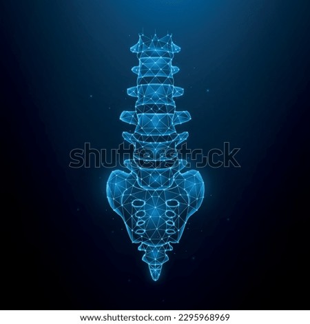 Polygonal human spine vector illustration isolated on dark blue background. Anatomical medical banner template and background.